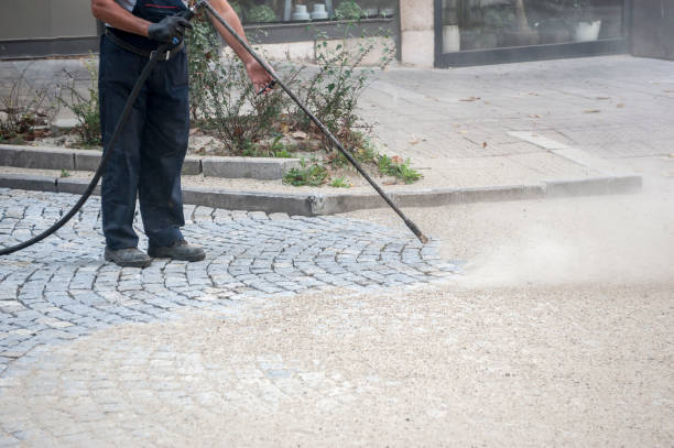 Best Warehouse Cleaning  in Walford, IA